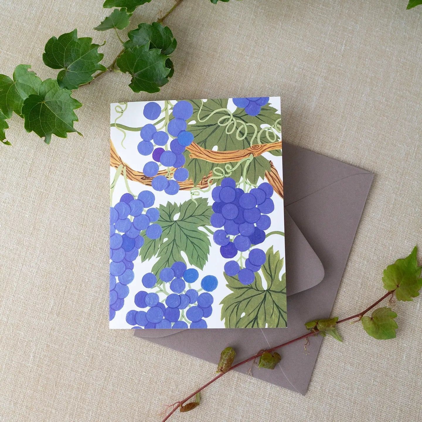 Botanica Paper Co. Greeting Card - Vineyard