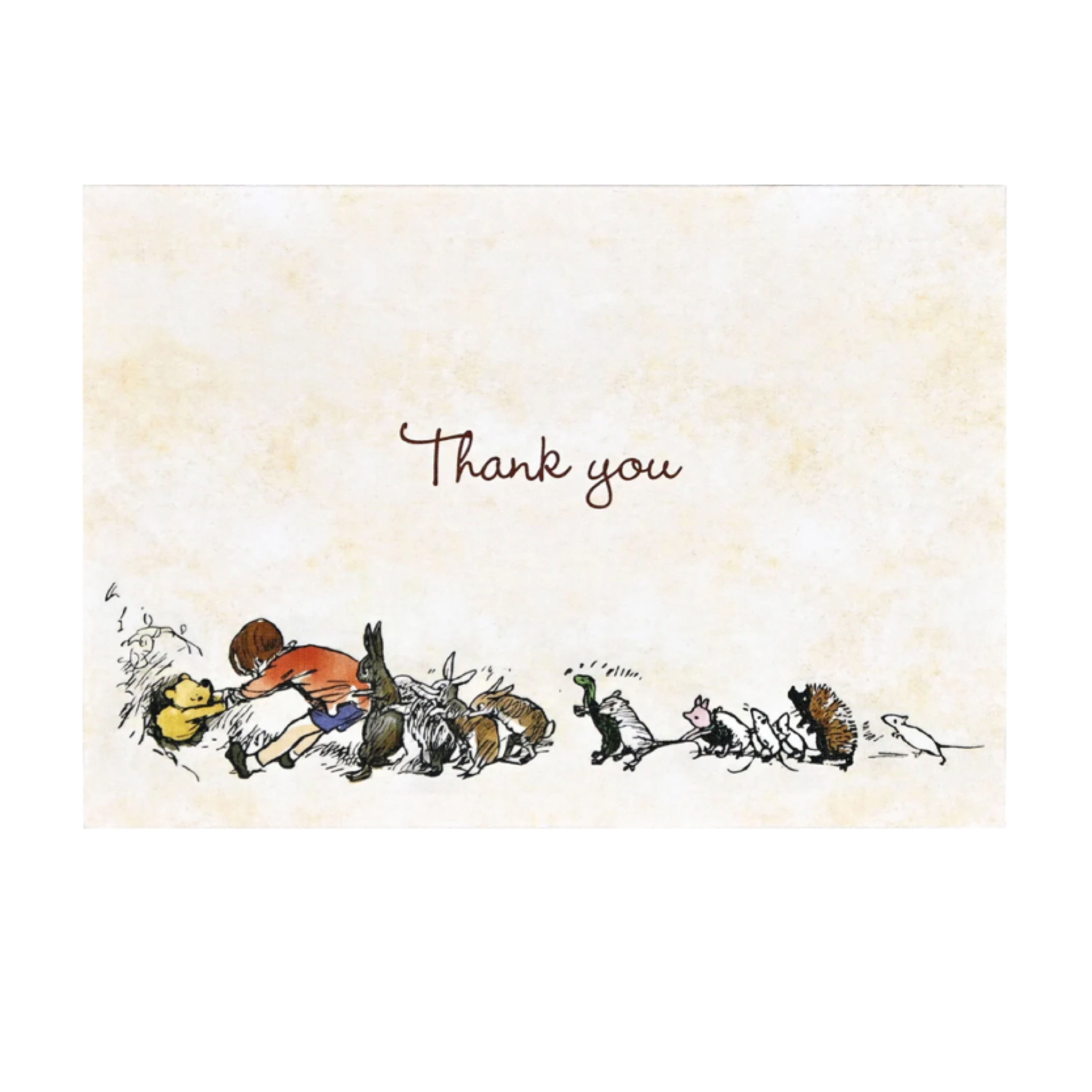 Peter Pauper Boxed Notes - Thank You Pooh Bear