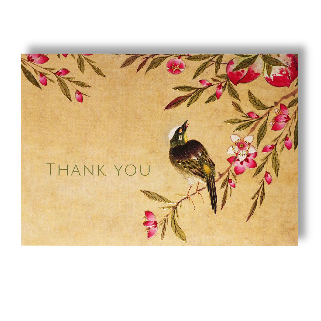 Peter Pauper Boxed Notes - Peach Blossoms Thank You