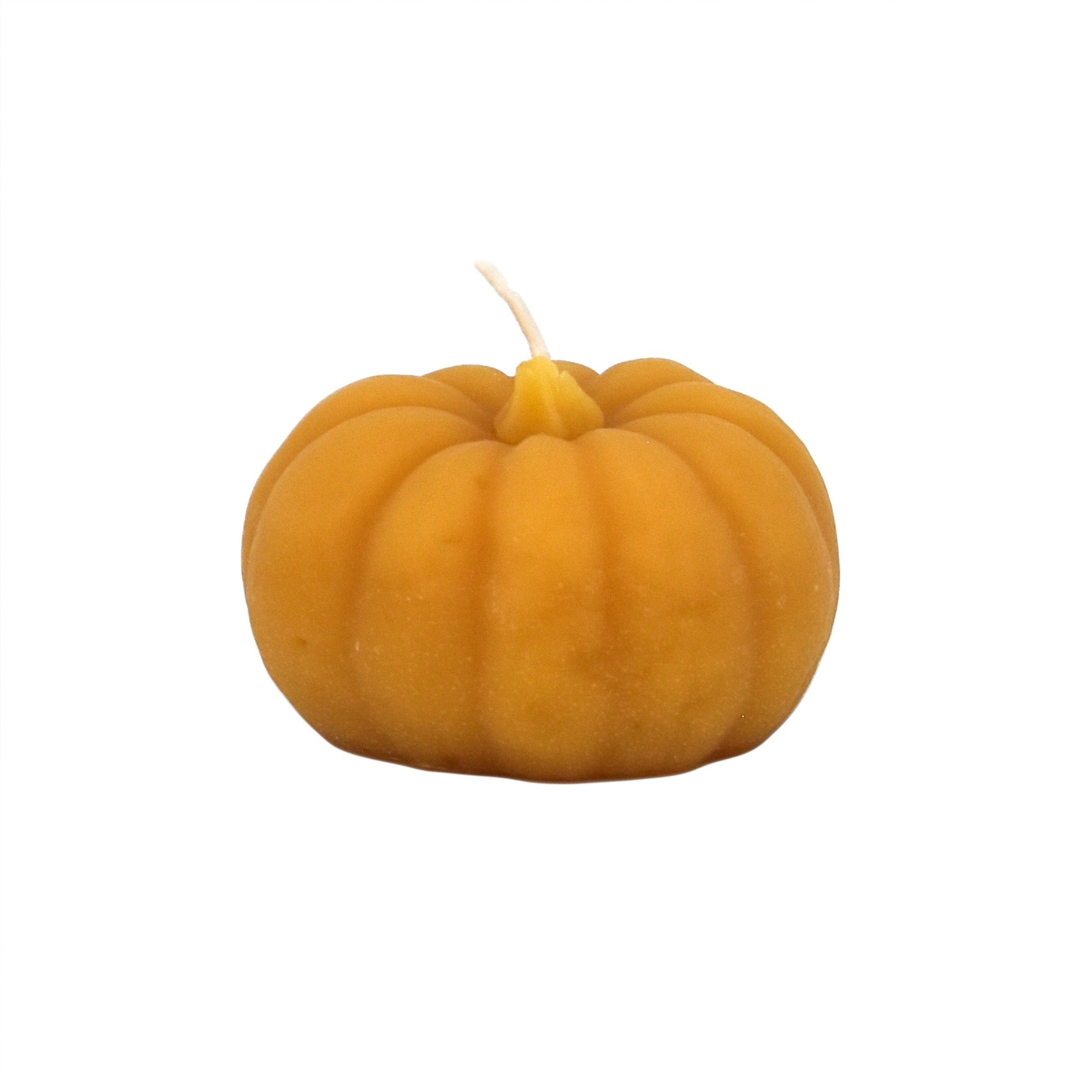 Beeswax Pumpkin