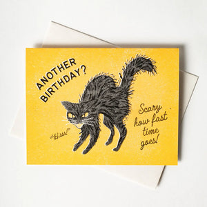 Bromstad Printing Greeting Card - Another Birthday? Hiss!