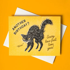 Bromstad Printing Greeting Card - Another Birthday? Hiss!