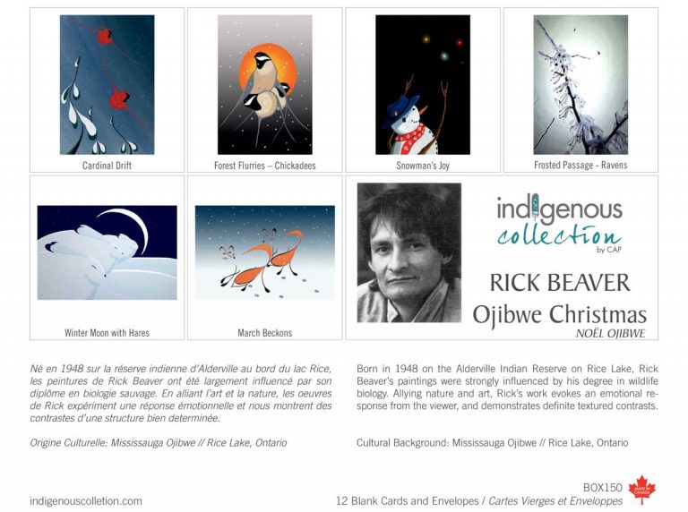 Indigenous Collection Boxed Notes - R. Beaver Ojibwe Christmas