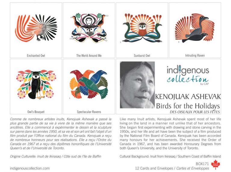 Indigenous Collection Boxed Notes - Dorset Fine Art Birds For The Holidays