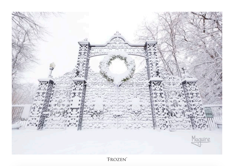 T.J. Maguire Greeting Card - Frozen Public Gardens Gate