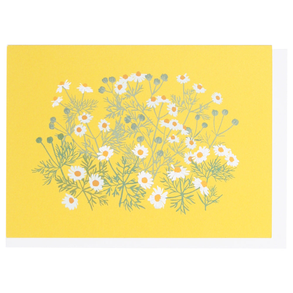 Smudge Ink Boxed Notes - Chamomile